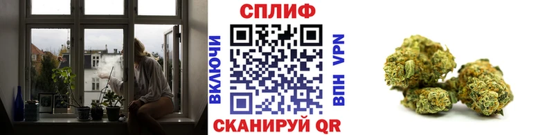 Где купить наркоту Сим ГАШ  OMG ссылка  Галлюциногенные грибы  Меф  A PVP  COCAIN 