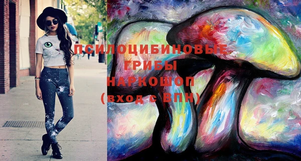 ГАЛЛЮЦИНОГЕННЫЕ ГРИБЫ Россошь