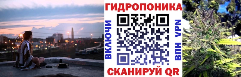 Бошки марихуана планчик  Сим 